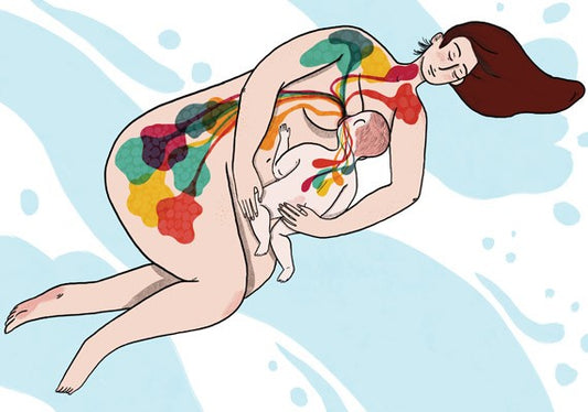 lactation with herbs