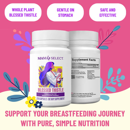 Organic Blessed Thistle