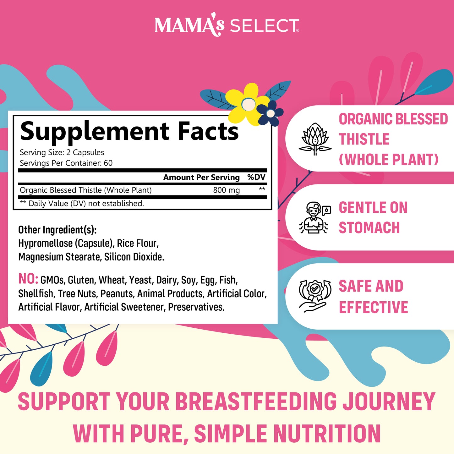 Organic Blessed Thistle