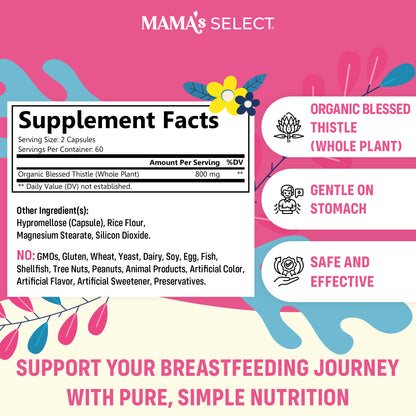 Organic Blessed Thistle