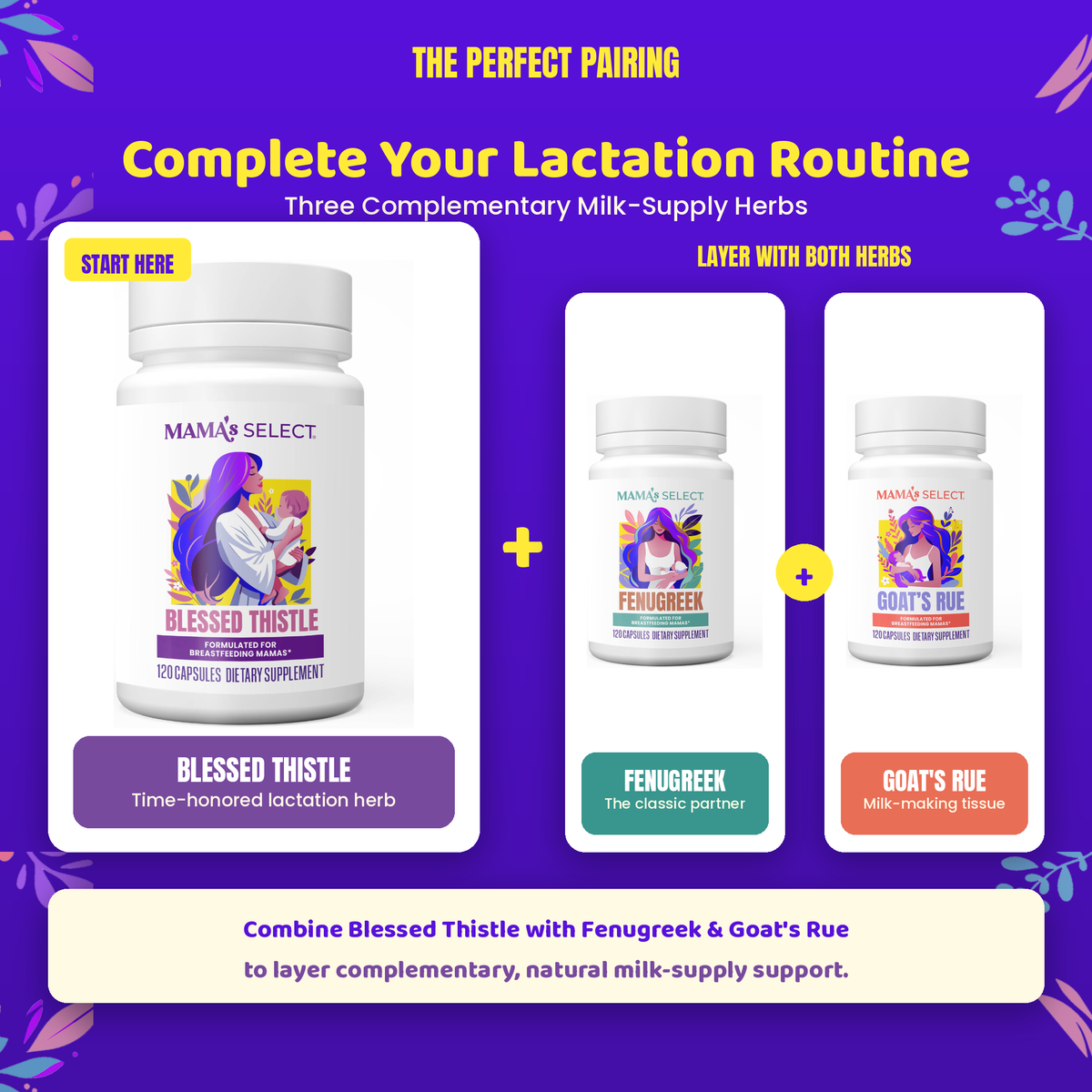 Blessed Thistle lactation supplement bottle with illustrated herbal label, 120 capsules