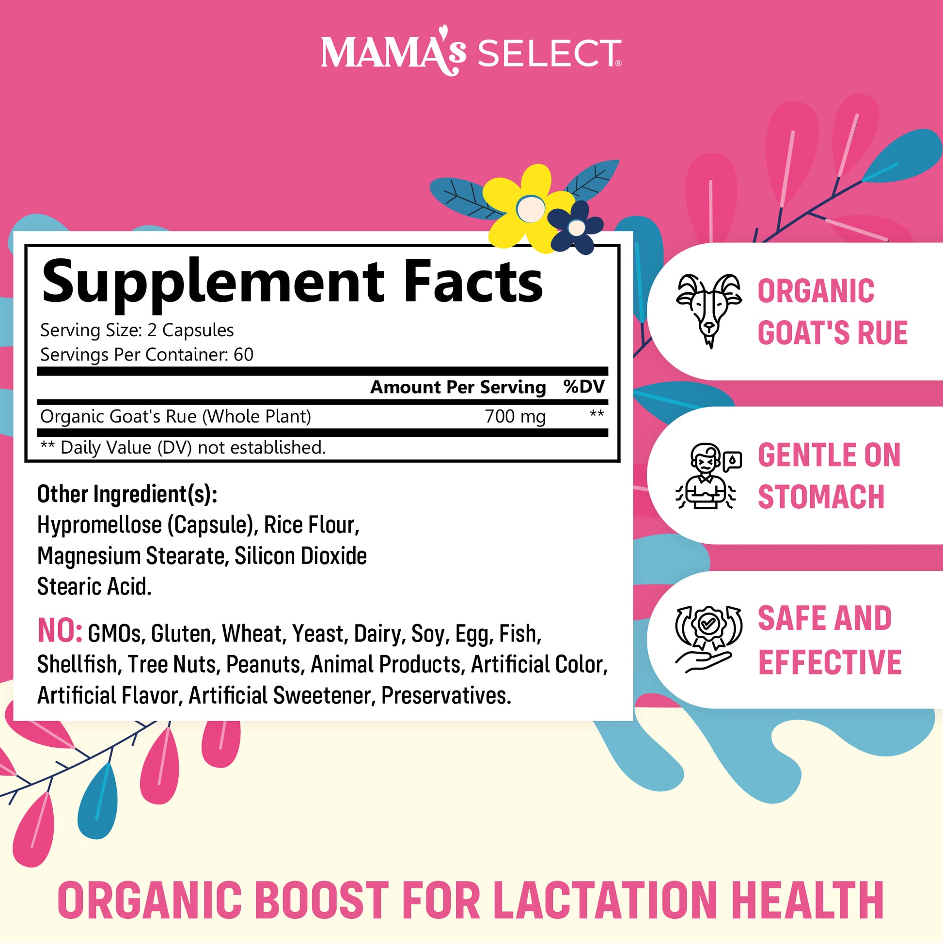 Organic Goat's Rue - Breastfeeding Supplement - Mama's Select Organic Goat's Rue - Breastfeeding Supplement - Mama's Select