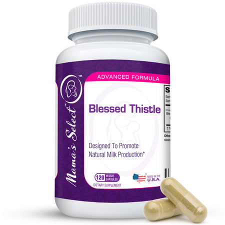 Blessed Thistle